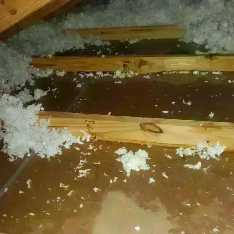 Attic Water Damage in Prosper, TX