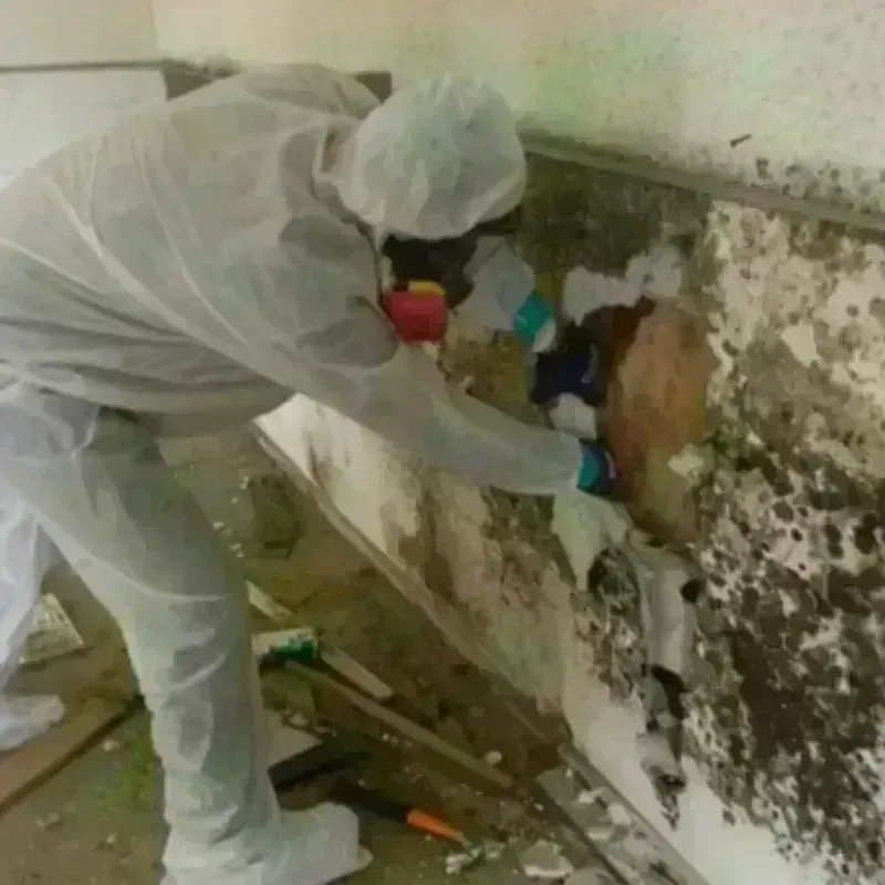 Mold Remediation and Removal in Prosper, TX