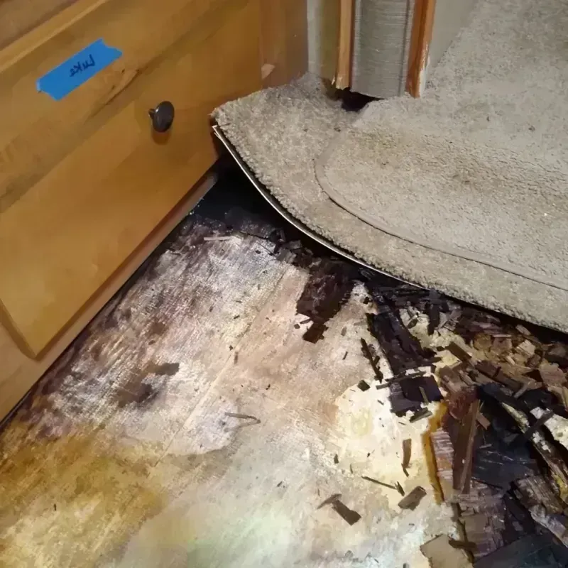 Wood Floor Water Damage in Prosper, TX